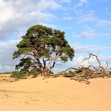 호텔 't Witte Hoes