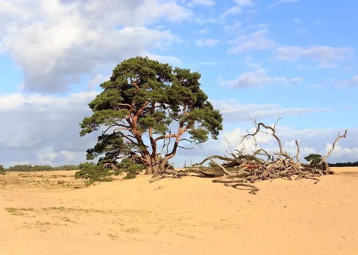 Hotell 't Witte Hoes