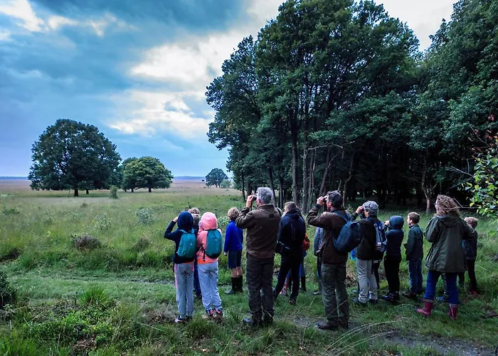 't Witte Hoes * Otterlo