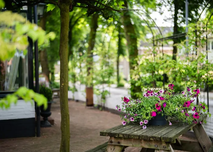 Hotell 't Witte Hoes *